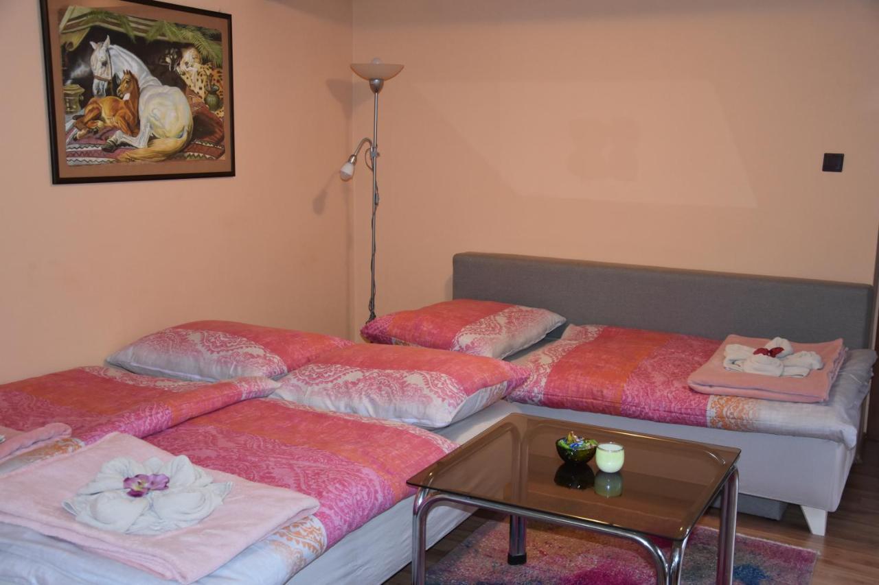 Dafinka Apartment Банска бистрица Екстериор снимка