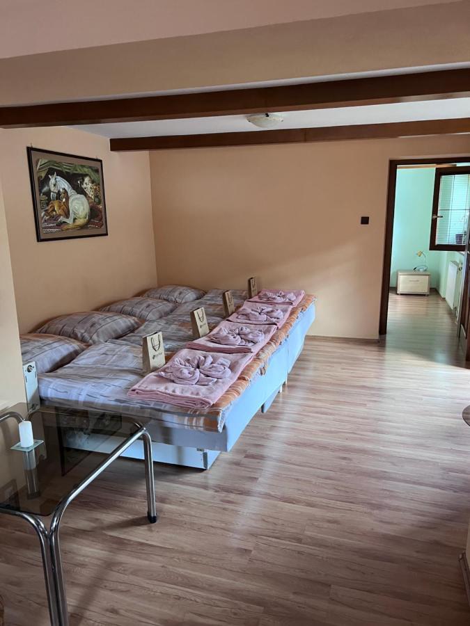 Dafinka Apartment Банска бистрица Екстериор снимка